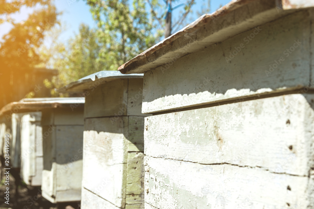 Wooden hives of bees close up photo - apiary