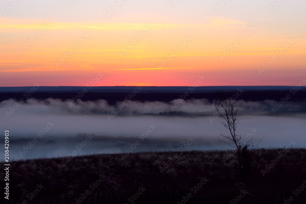 Misty dawn in the field