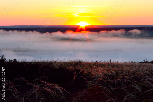Misty dawn in the field