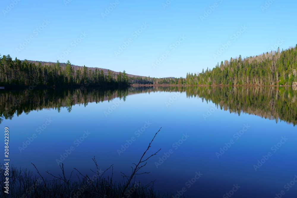 Landscape on a lake, wild forest reflected on the calm water by a peaceful, beautiful sunny morning in the North of Quebec, Canada at spring.