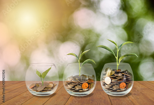 Saving money concept. Coins in glass jar. Investment money concept. Growing Money, finance and investment concept  background. Coins in three glass jar on wooden table with light and nature background photo