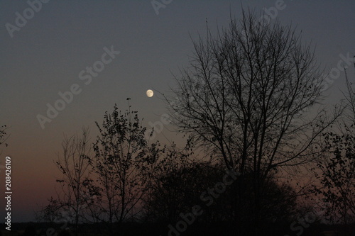 Moon at Dusk