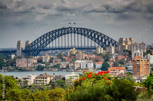 View of the city of Sydney and Sydney Harbor bridge
