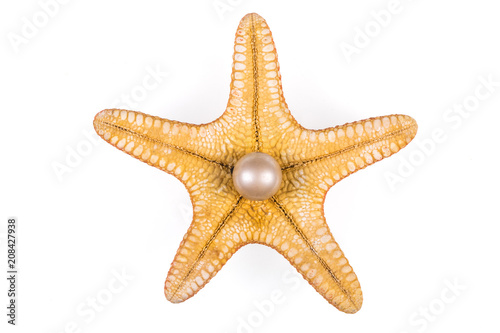 a starfish and a pearl