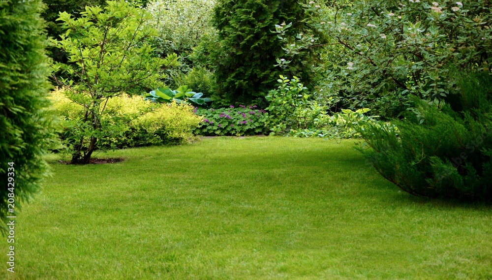 Green lawn surrounded by beautiful plants in a well-kept garden.
