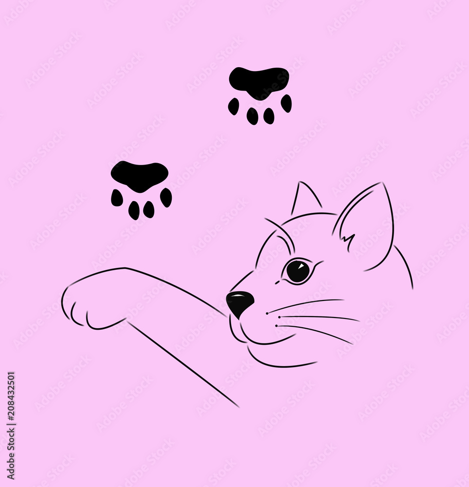 pink cat illustration
