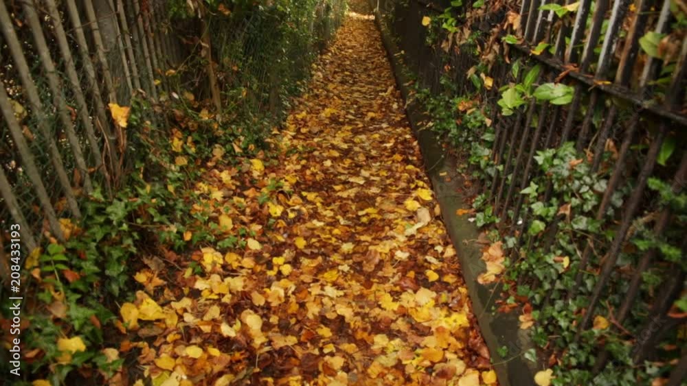 Romantic Alley in the autumn - tilt Romantic Alley in the autumn - tilt