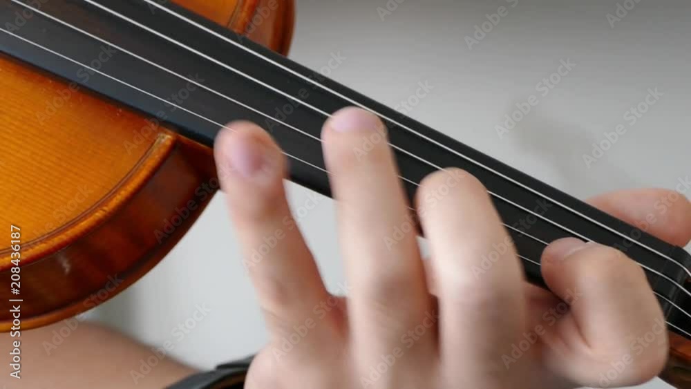 Close-up of musician playing violin, classic turkish music
Close-up of musician playing violin, classic turkish music