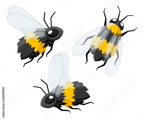 Collection of three cartoon cute bee. Friendly bees. Fly insect wildlife object. Flat vector illustration isolated on white background © An-Maler