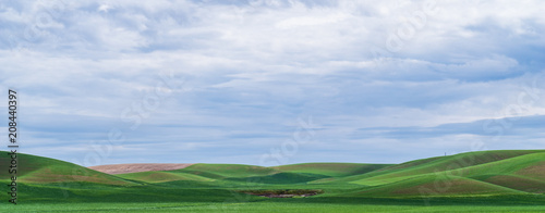 Palouse Landscape in spring