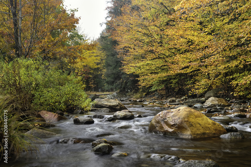 Fall foliage along the Connecticut River in Vermont, US