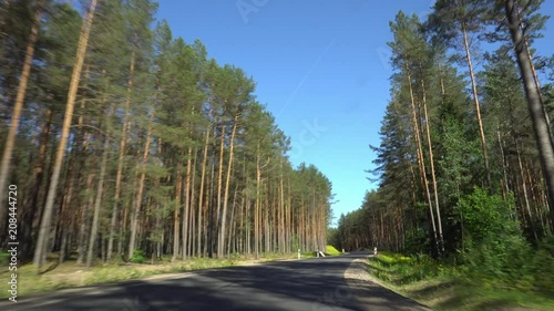 Fast driving on the forest road. Driving Plate. Processing Plate. View through the window of a car.