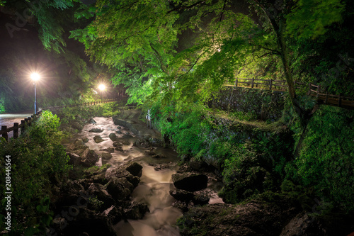 Small river flowing under bright green trees at night