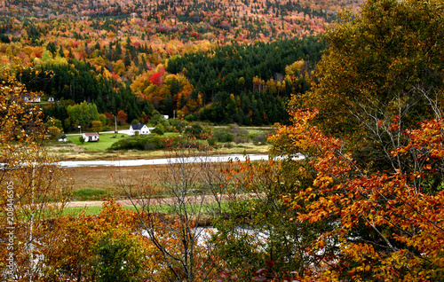 Obraz na plátne Margaree Valley in autumn