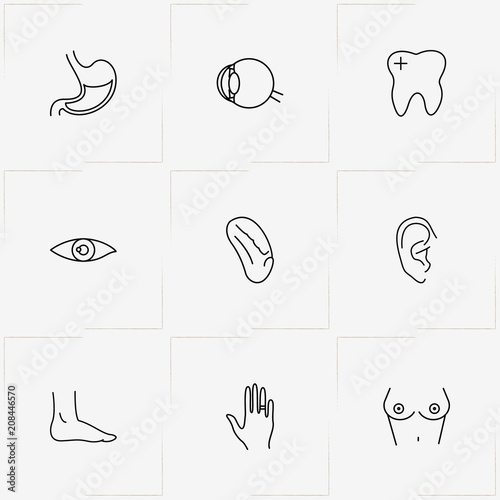 Human Anatomy line icon set with foot, eye and spleen