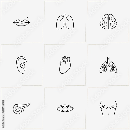 Human Anatomy line icon set with eye, lungs and ear