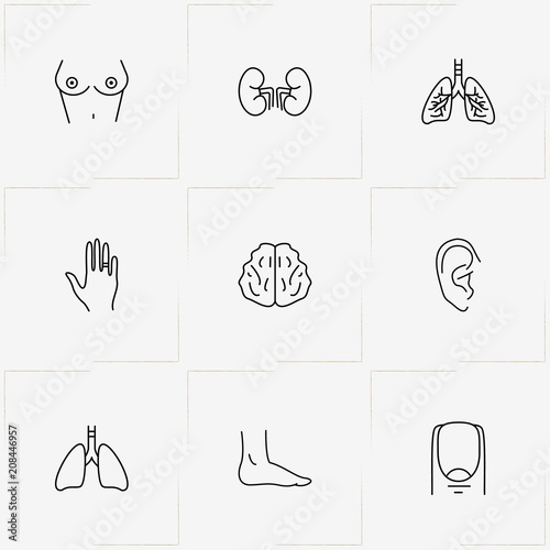 Human Anatomy line icon set with foot, ear and lungs