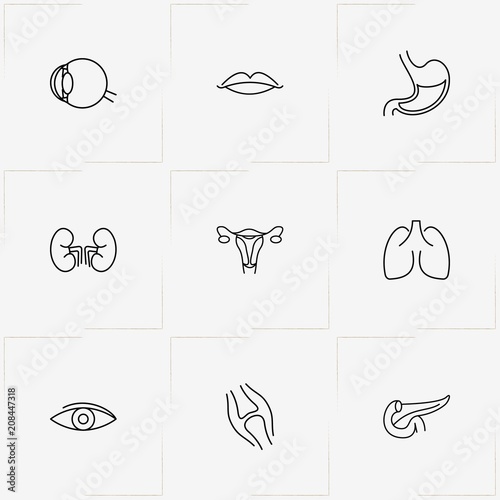 Human Anatomy line icon set with lips, joint  and pancreas