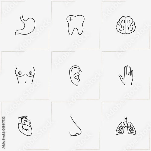 Human Anatomy line icon set with stomach , ear and hand