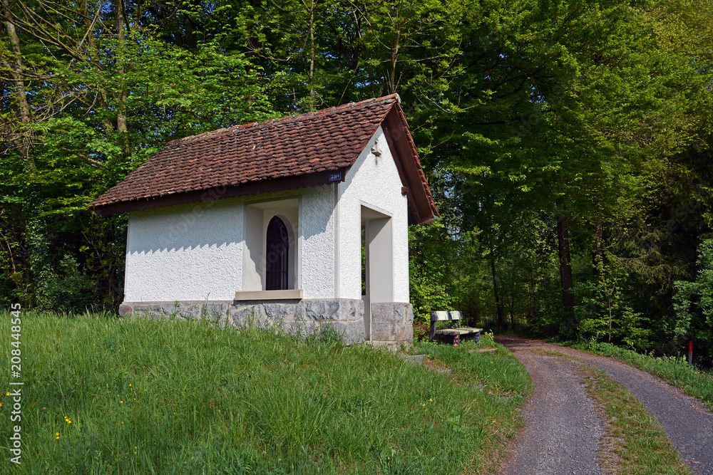 Fototapeta premium Nördlingen, Pfarrkirche St. Georg (