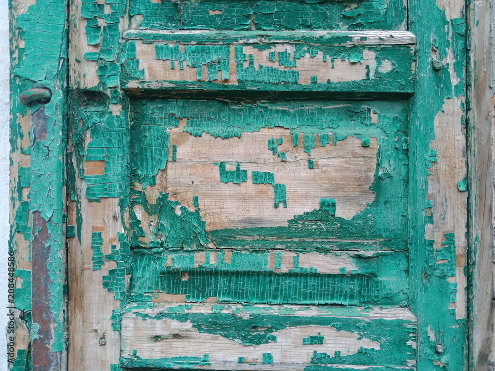 Naklejka premium Green wood panel.