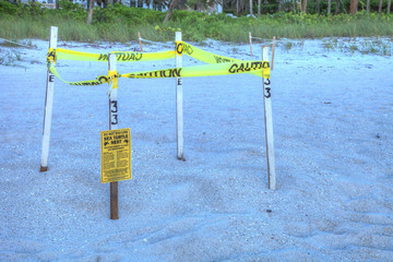 Sierkussen Schildpad Beschermd schildpadnest op Naples Beach  © SailingAway