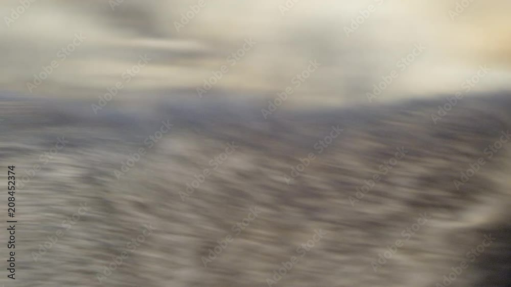 Black trained wolf moving in the wilderness (close up shot) Black trained wolf moving in the wilderness (close up shot)