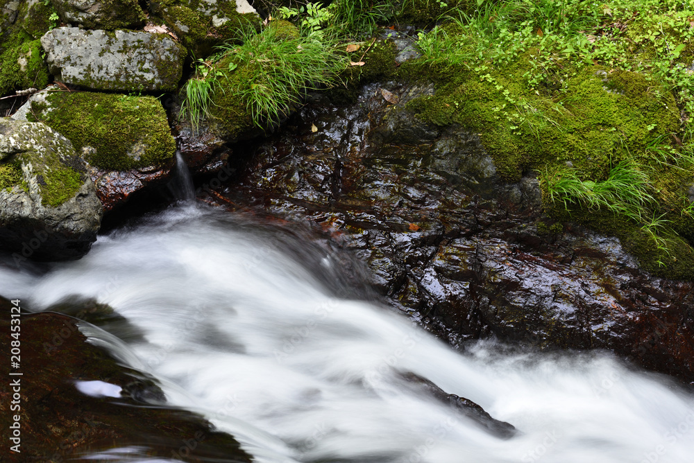 Obraz premium 渓流