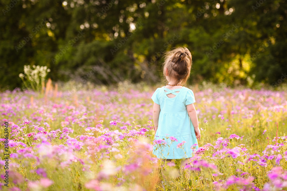Little girl with dark blond hair in a purple flower field during the evening golden light in the summer