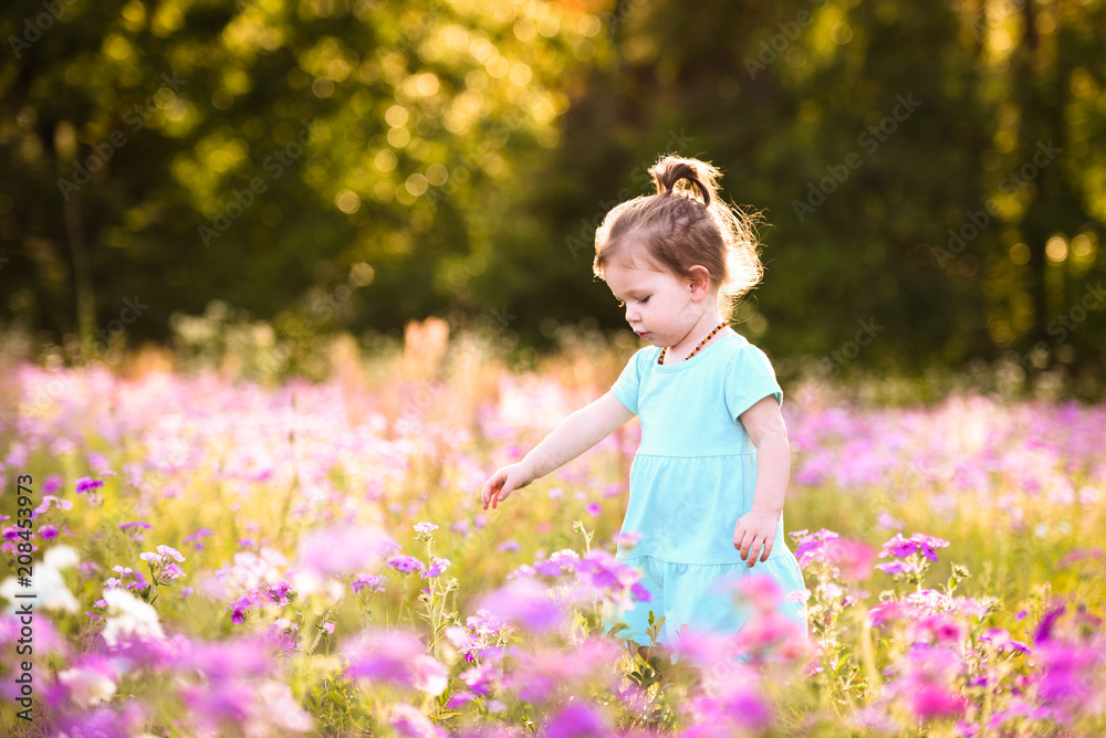 Little girl with dark blond hair in a purple flower field during the evening golden light in the summer