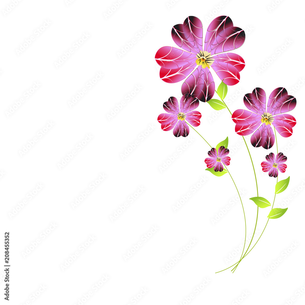 Obraz premium beautiful flowers