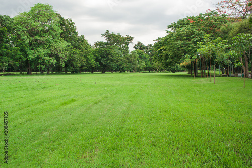 Beautiful landscape view of tropical green grass meadow field and trees in public park.