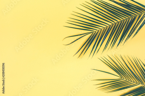 Tropical palm leaves on yellow background. Summer concept. Flat lay  top view  copy space  close up
