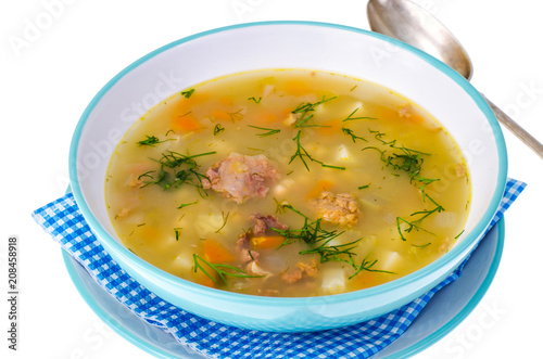 Hot vegetable soup with chicken meat