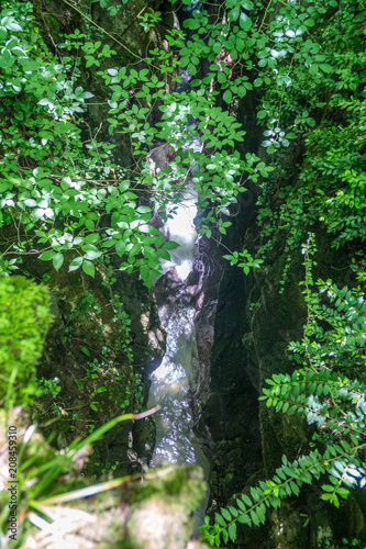 Forest river flowing between two high rocks with green plants in Georgia. Okatse canyon