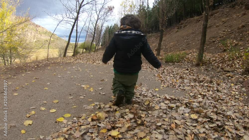Small kid walking over a small path, road in autumn, fall, full of fallen leaves playing. Varvarco, Neuquen, Patagonia Argentina. Small kid walking over a small path, road in autumn, fall, full of fallen leaves playing. Varvarco, Neuquen, Patagonia Argentina.