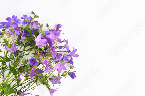 Bouquet of wildflowers of lilac bells isolated on white background, top view.