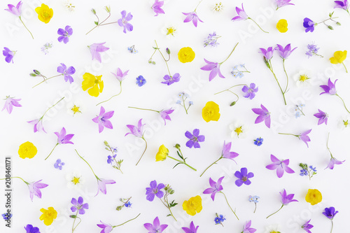 Creative flat layout pattern of wildflowers, top view.