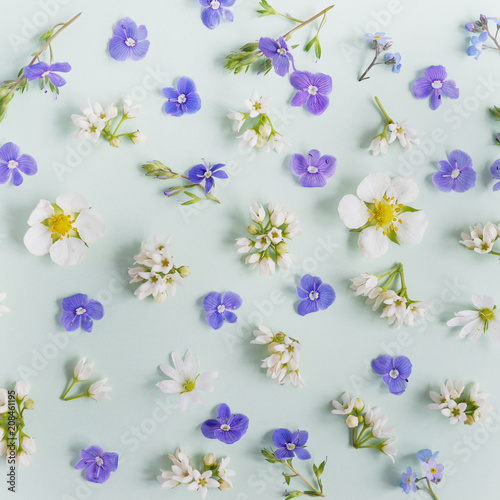 Creative flat layout pattern of wildflowers,  top view. © Tatiana Morozova
