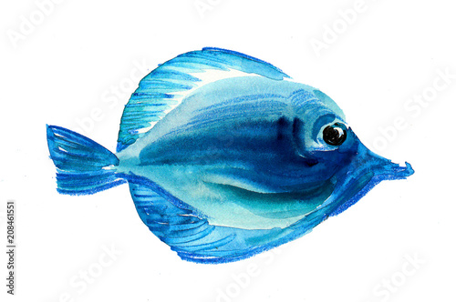 Blue watercolor fish