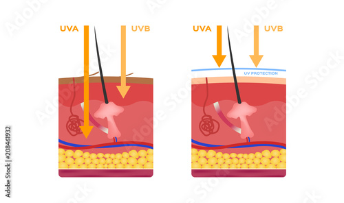 uv skin and ultraviolet icon logo vector