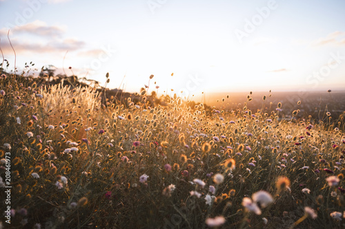 Fototapeta Naklejka Na Ścianę i Meble -  Adelaide Sunsets