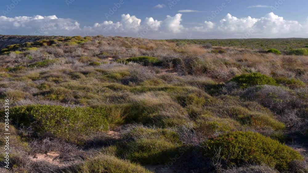 A wide shot of a grass field and clouds. A wide shot of a grass field and clouds.