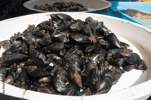 fresh mussels at the market