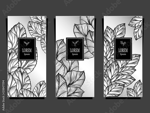 Set Template for package or flyer from Luxury background made by foil leaves in silver black for cosmetic or perfume or for package of tea or for alcohol label or for brand book
