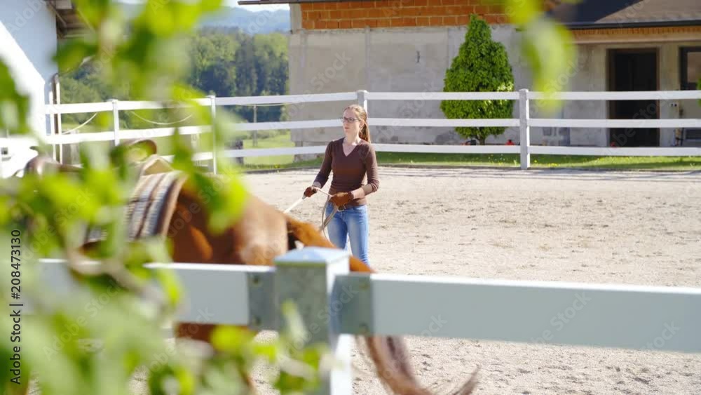 Training horse on lunge line at beautiful ranch in slow motion 4K. Long