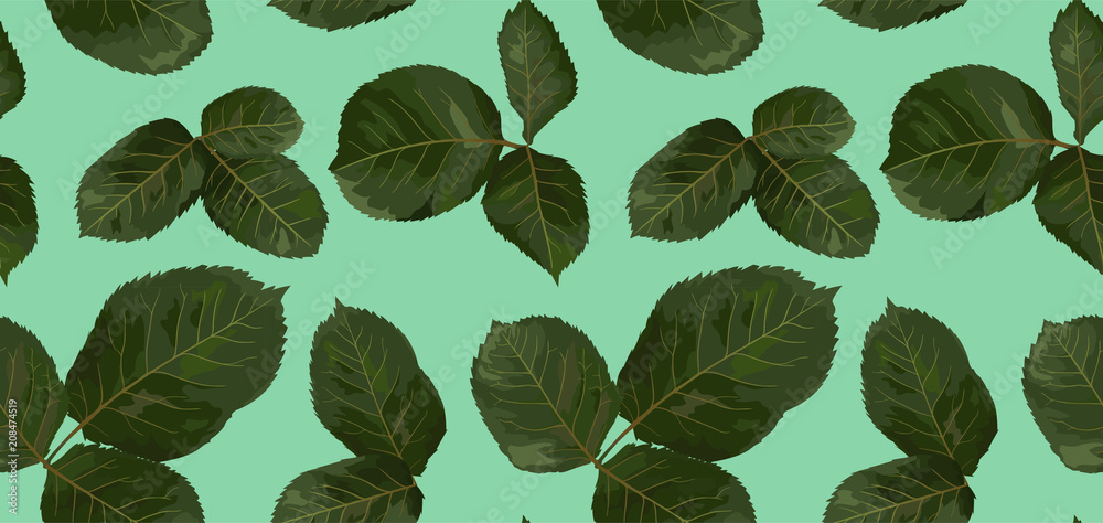 Pattern of green leaves of rose, watercolor. Botanical illustration. All elements of the drawing are isolated Pattern of green leaves of rose, watercolor. Botanical illustration. All elements of the drawing are isolated