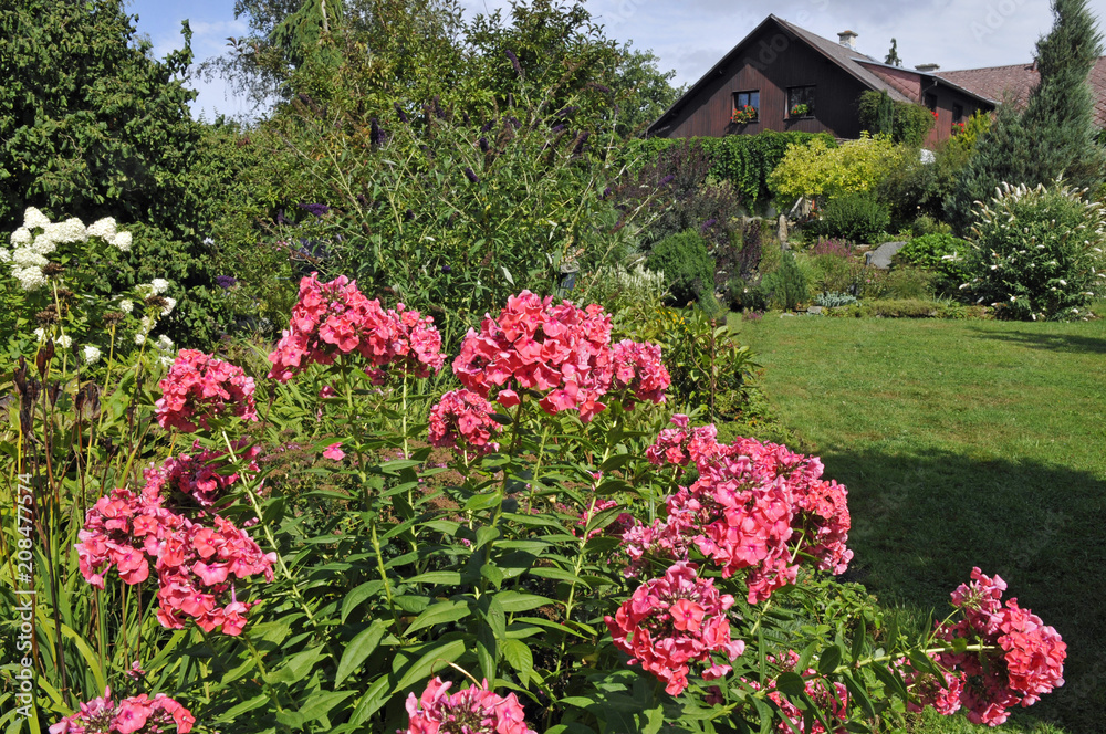 schöner ziergarten