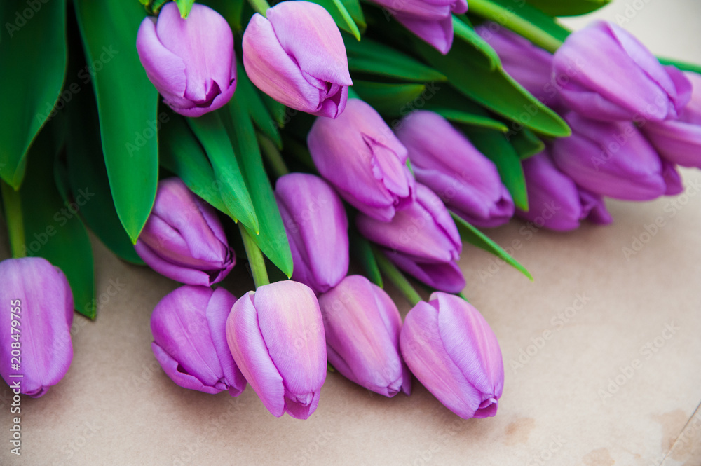 Spring scene of tulip field