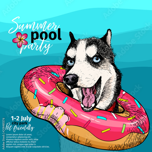 Vector portrait of Siberian husky dog swimming in water. Donut float. Summer pool paty illustration. Sea, ocean, beach. Hand drawn pet portait. Poster, t-shirt print, holiday, postcard, summertime